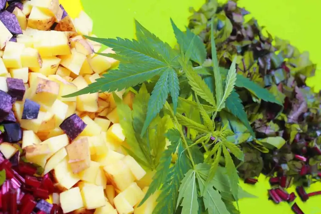 Using Cannabis Seeds For Edibles