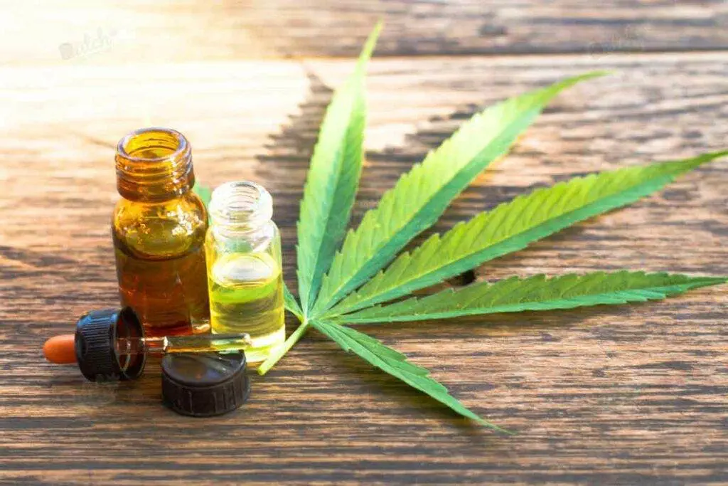 Using Spare Weed Seed For Making Essential Oils