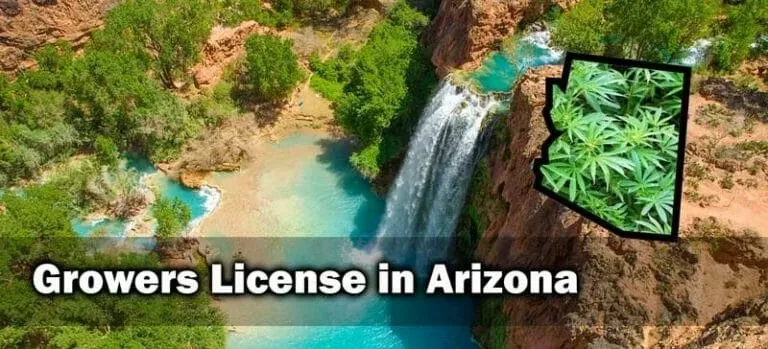 Arizona