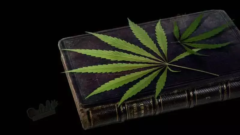 Auto Red Kush Grow Guide