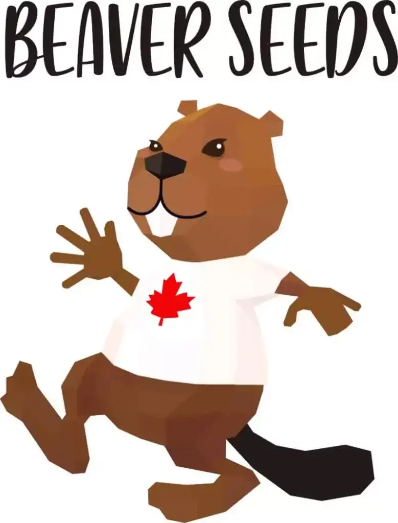 Beaver Seeds
