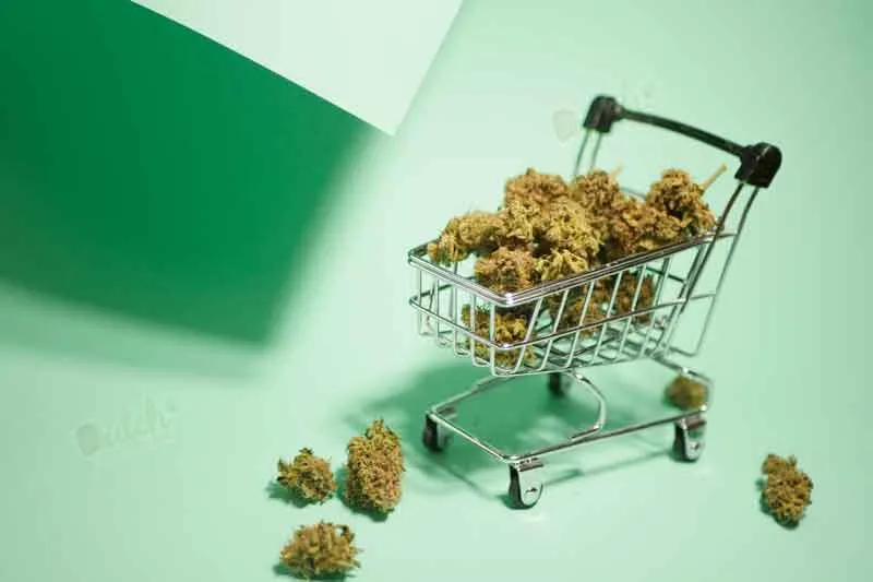 Buy Super Auto Seeds At DSS