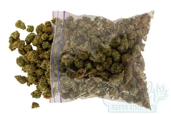 Cannabis Quantities and Measurements
