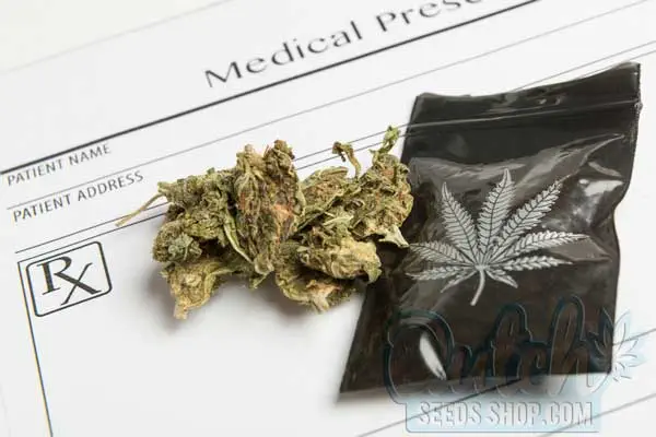Cannabis and Medical Use