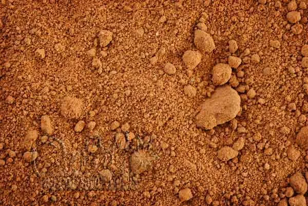 Clay Soil Advantages and Challenges