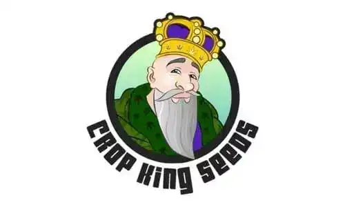 Crop King Seeds best marijuana seed banks
