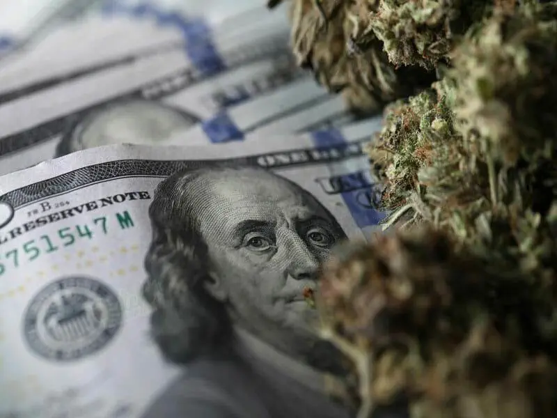 Diesel Auto Weed Seeds Guarantees From Dutch Seeds Shop