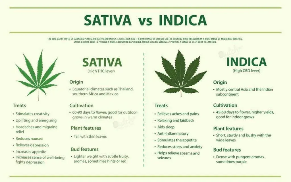 Difference between Indica and Sativa