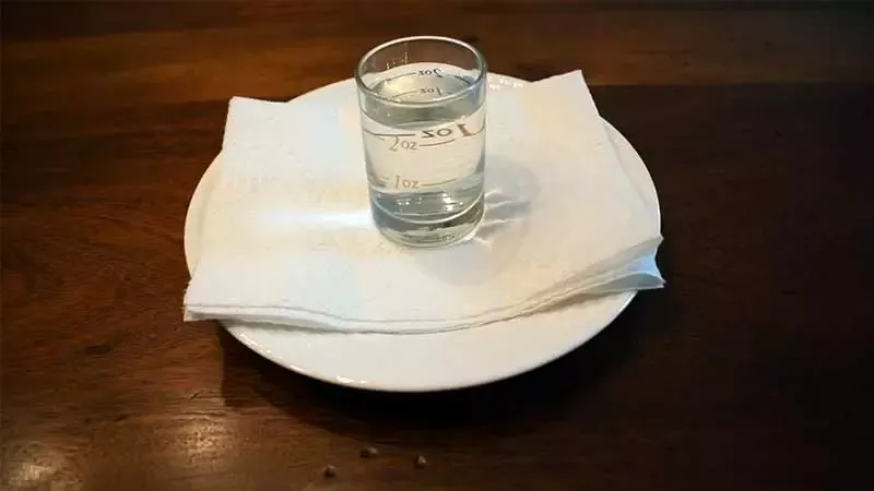 Essential Things for Successful Germination