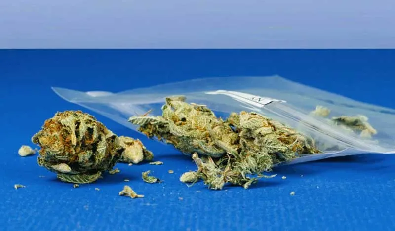 Experience of Smoking or Consuming Afghan Auto