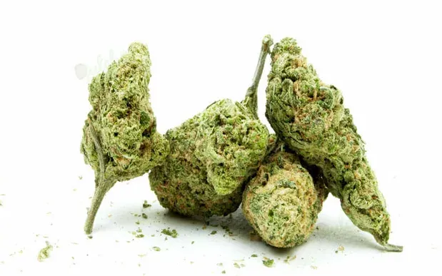 Flowering Time and Yield