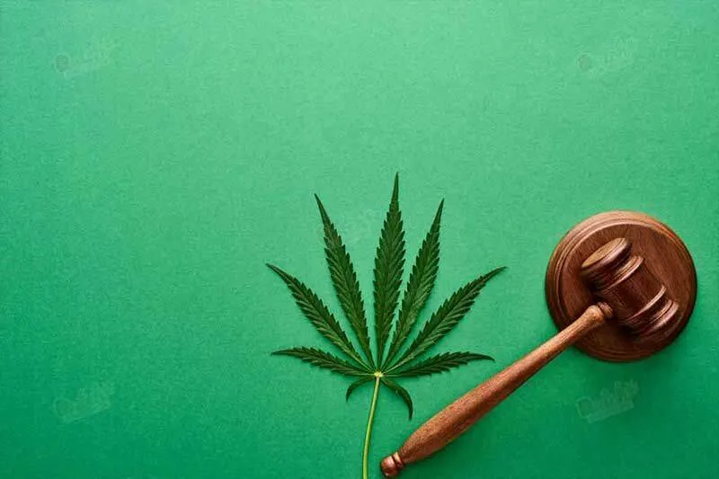 Grower’s License: Before Starting Your Cultivation