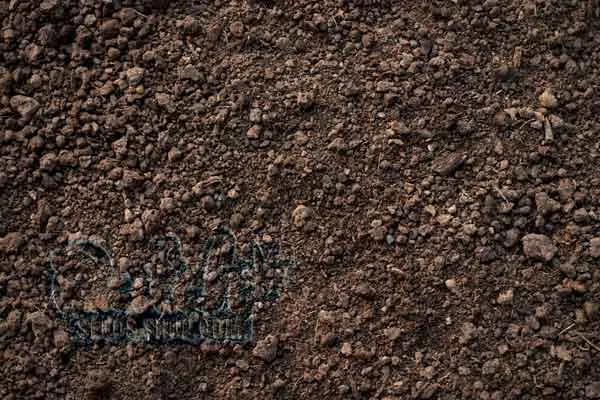 Loam Soil Gold Standard of Cannabis Cultivation