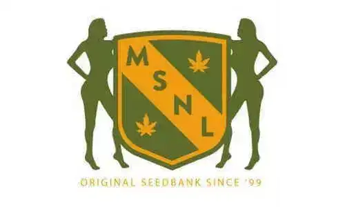 MSNL local seed banks near me