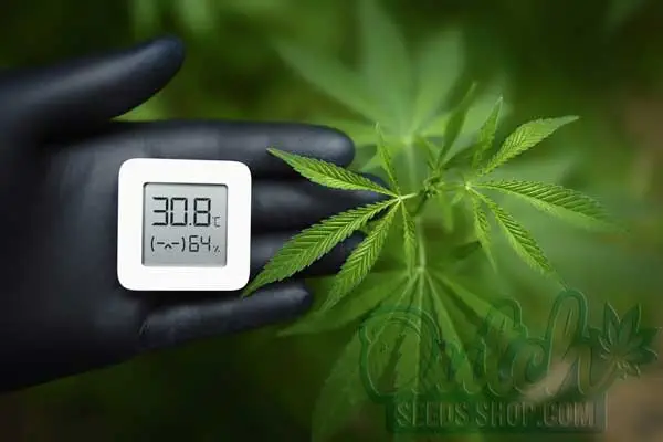 Measuring Humidity and Temperature