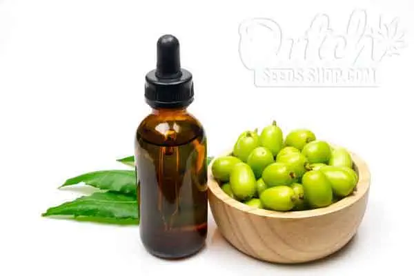 Neem Oil