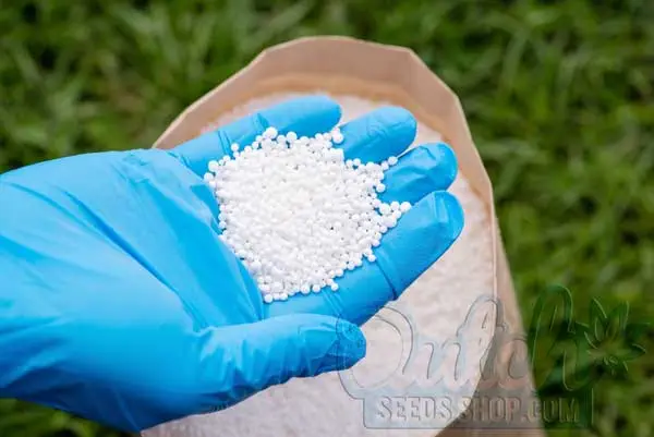 Nitrogen Formulas and Options