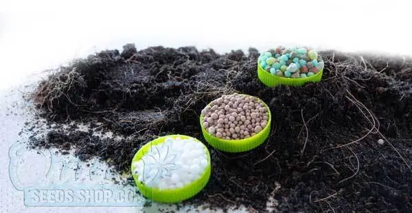 Other Nutrients and Supplements in Combination with Tiger Bloom