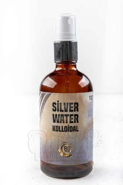 Preparing the Tools and Materials