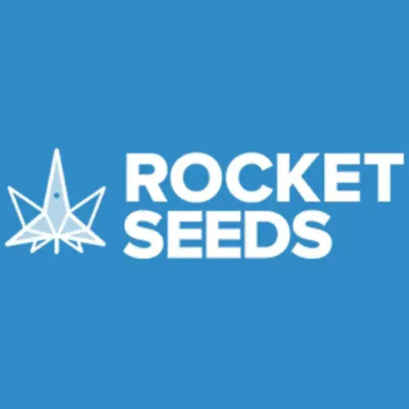 Rocket Seeds