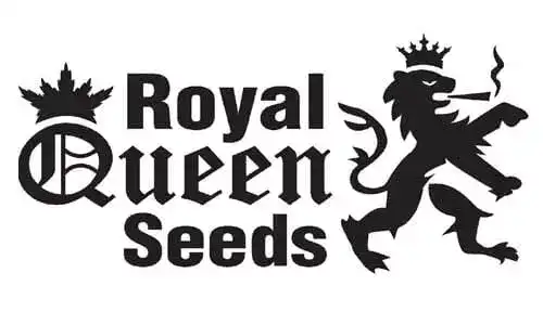 Royal Queen Seeds best cannabis seed bank