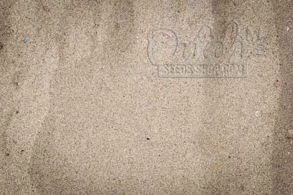 Sandy Soil Optimal Choice in Dry Climates