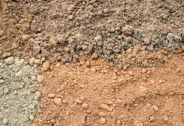 Silt Soil An Unpredictable Mix of Benefits and Challenges