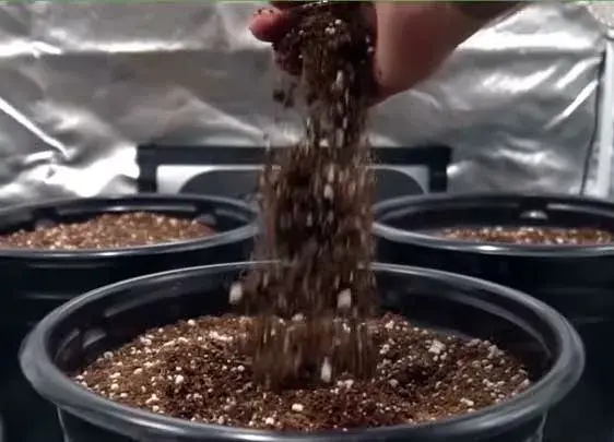 Soil Preparation