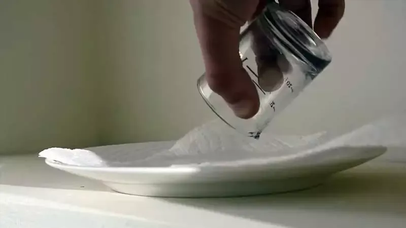 Step 2 Labeling Your Seeds