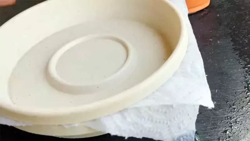 Step 4 Ensconce Your Seeds with a Delicate Sheet of Paper Towel