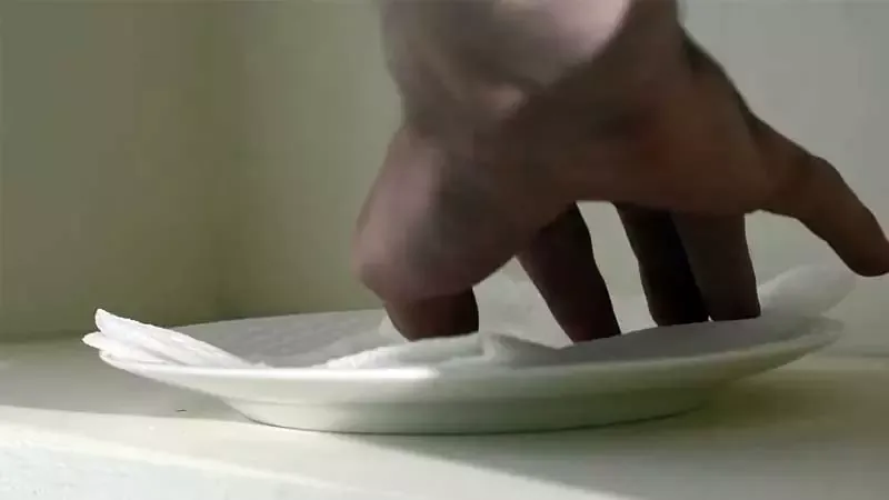 Step 6 Nurture Your Seeds with a Seedling Heat Mat