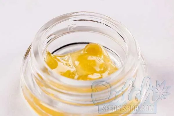 Temperature Range for Purging BHO