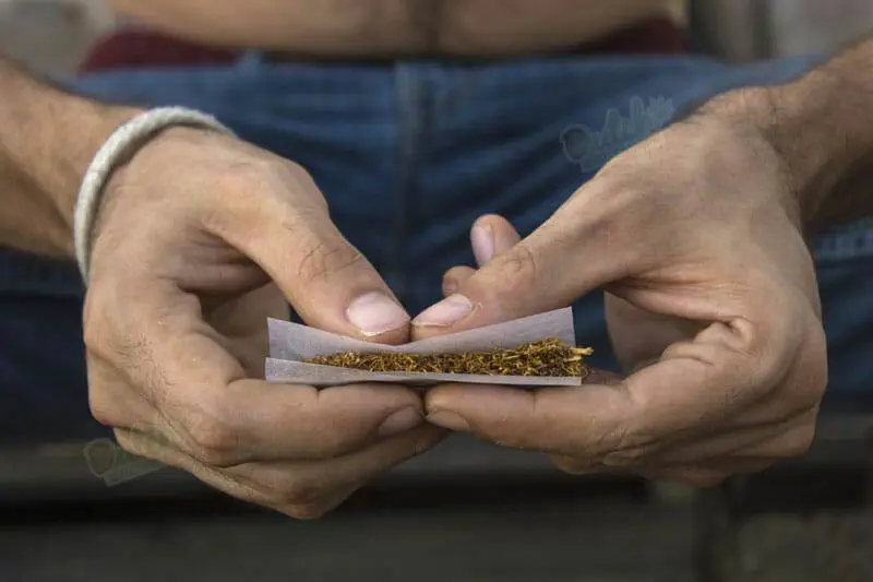 The Experience Of Smoking Or Consuming Autoflowering Blue Dream