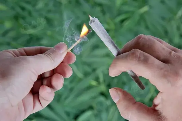 The Experience Of Smoking Or Consuming Blueberry Auto