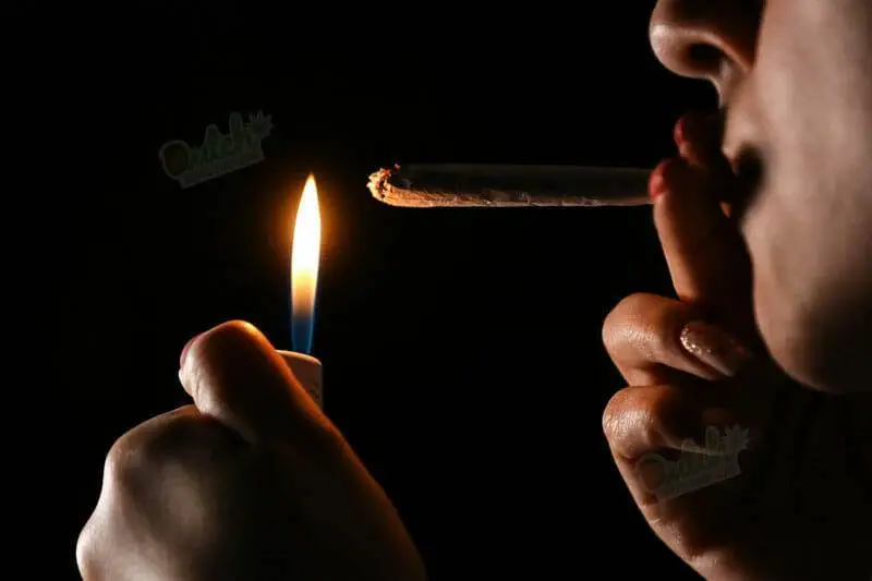 The Experience Of Smoking Or Consuming Diesel Auto