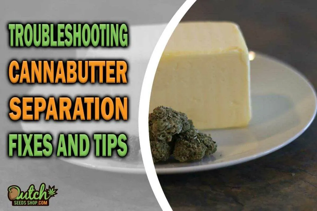 Troubleshooting Cannabutter Separation Fixes And Tips