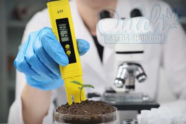 Troubleshooting pH Issues