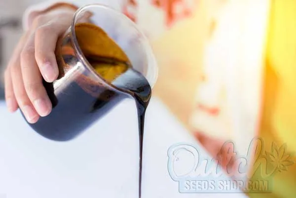 Understanding the Role of Molasses in Cannabis Cultivation