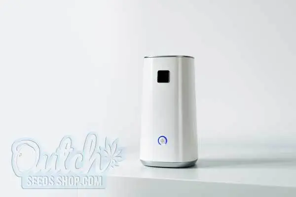 Using Humidifiers