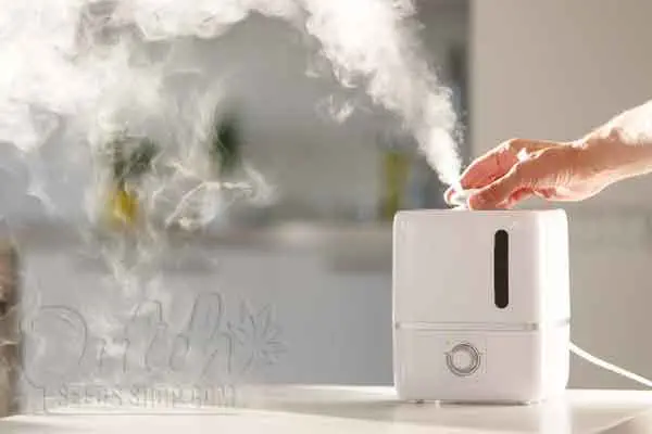 Ways to Raise Humidity