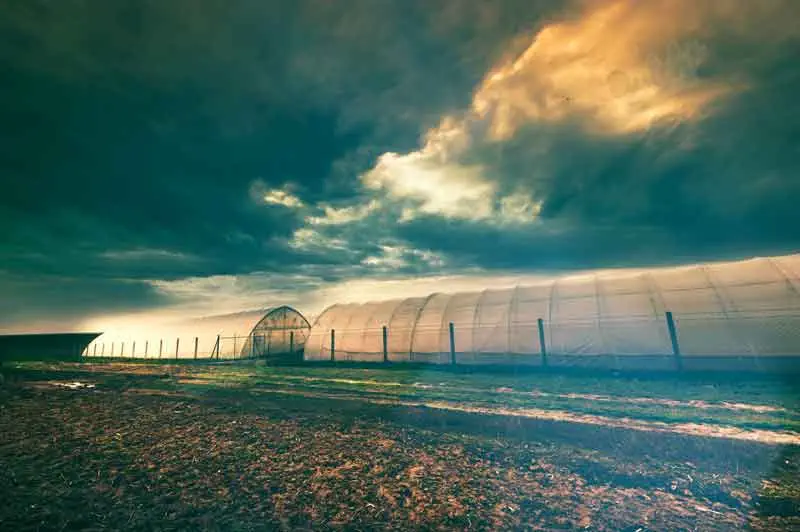 When Is Best Growing Season To Start In Greenhouse