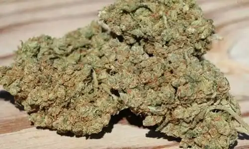 Purple Punch