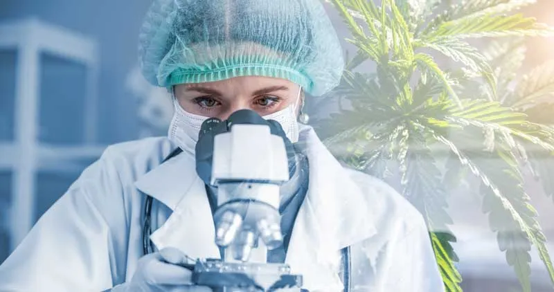 Quality Assurance: Tested and Guaranteed to Germinate