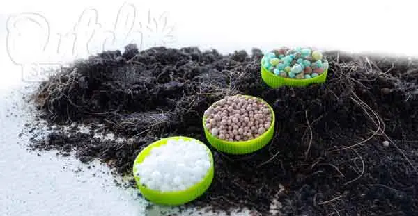 Nutrients and Fertilizers