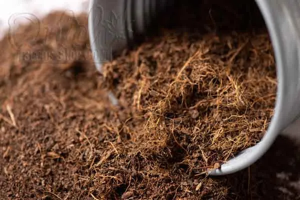 Nutrients and Fertilizers
