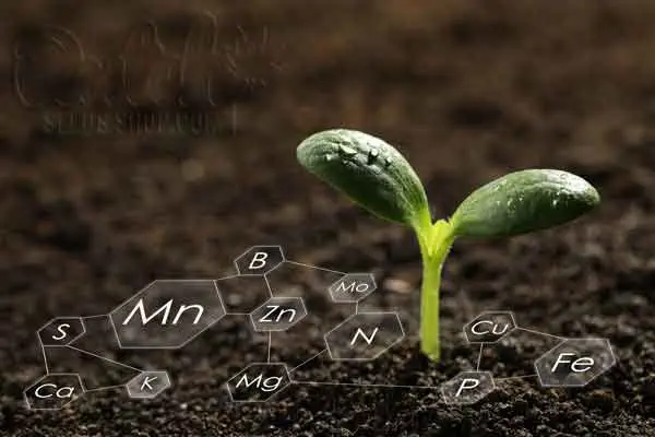 Nutrients and Fertilizers