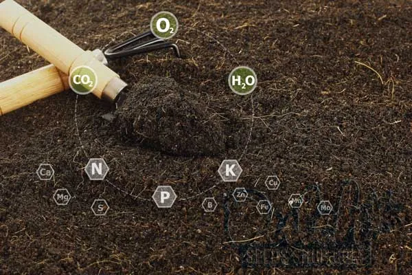 Selecting and Preparing Soil