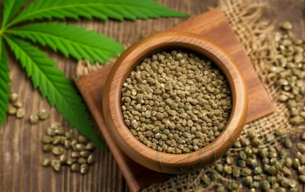 Maximizing Success with Old Seeds
