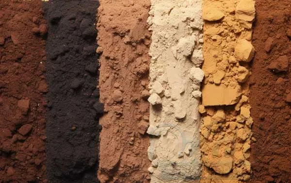 Selecting and Preparing Soil