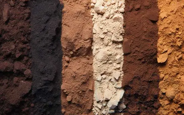 Selecting and Preparing Soil